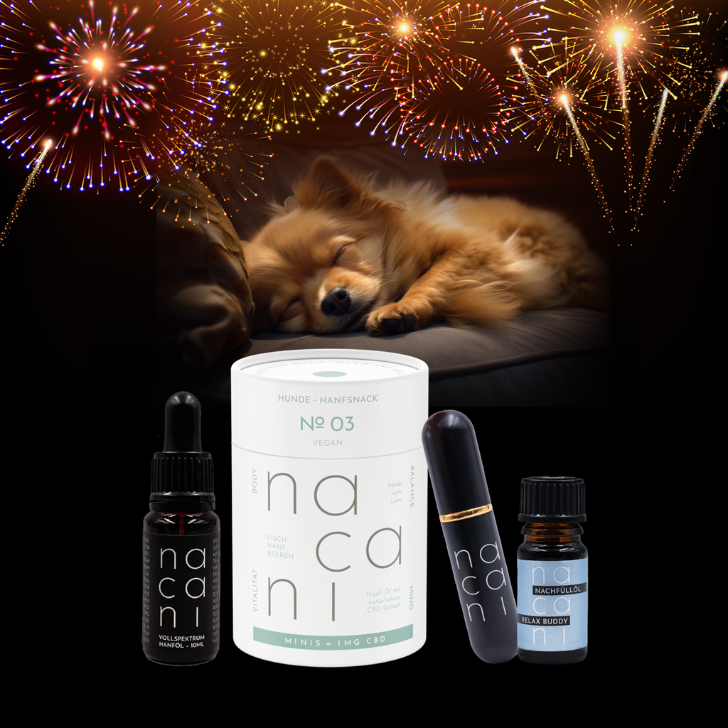 Pack Nouvel An Vegan