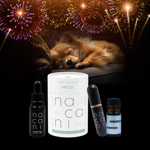 Pack Nouvel An Vegan